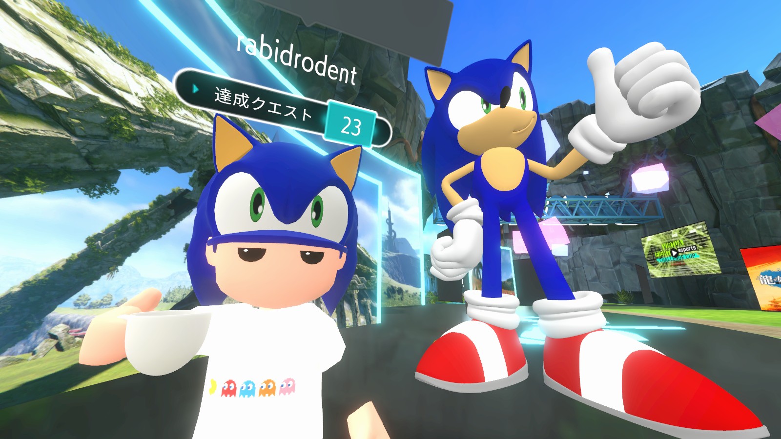 Vr sonic sales